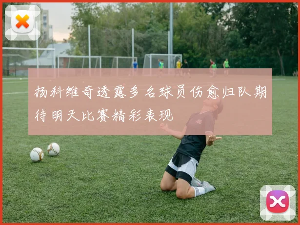 扬科维奇透露多名球员伤愈归队期待明天比赛精彩表现