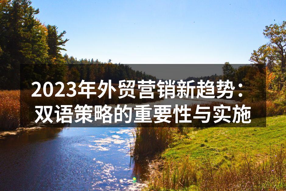 2023年外贸营销新趋势：双语策略的重要性与实施