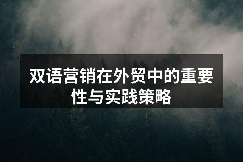 双语营销在外贸中的重要性与实践策略