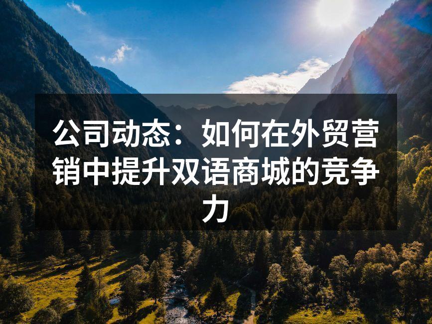 公司动态：如何在外贸营销中提升双语商城的竞争力