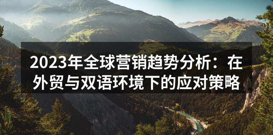 2023年全球营销趋势分析：在外贸与双语环境下的应对策略