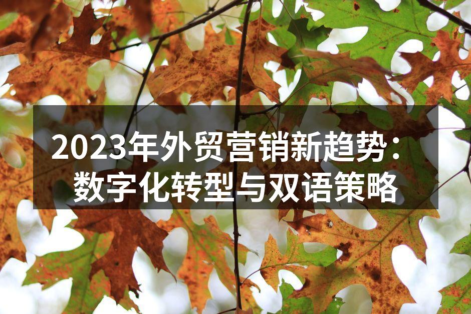 2023年外贸营销新趋势：数字化转型与双语策略