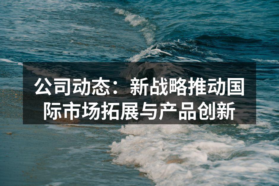 公司动态：新战略推动国际市场拓展与产品创新