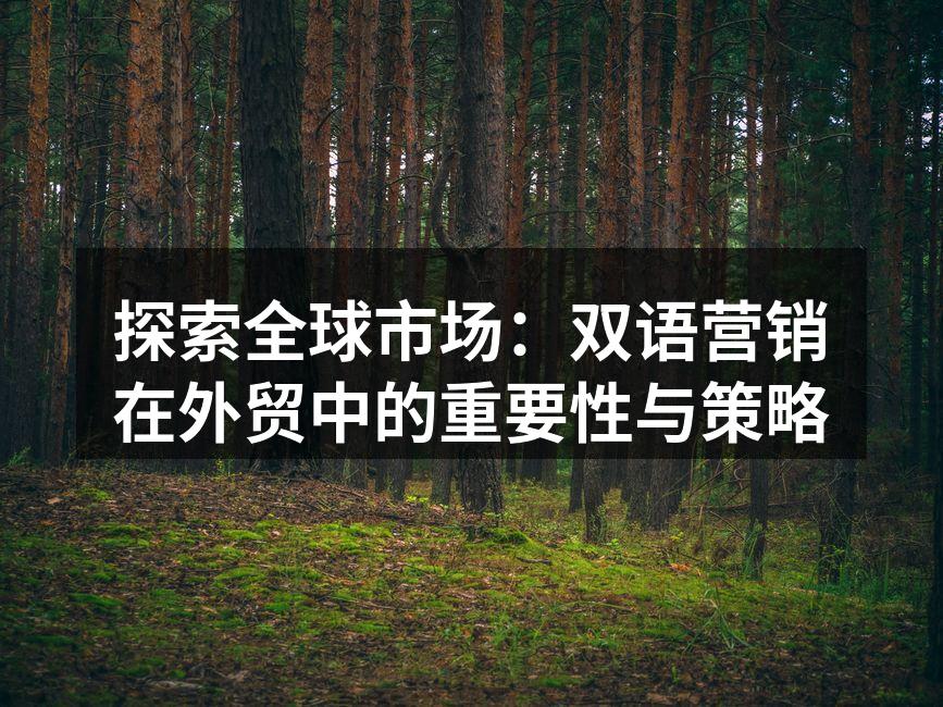 探索全球市场：双语营销在外贸中的重要性与策略