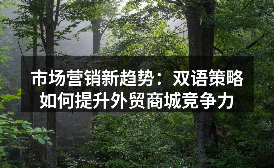 市场营销新趋势：双语策略如何提升外贸商城竞争力
